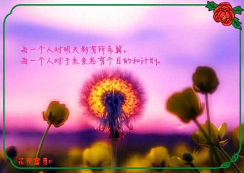 全本小说江暖顾智辰小说名字顾智辰江暖全文免费阅读