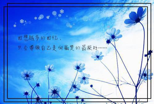 我和白月光拼坟后，知道真相的丈夫疯了傅辛纪木澈季白芷最新章节在线阅读