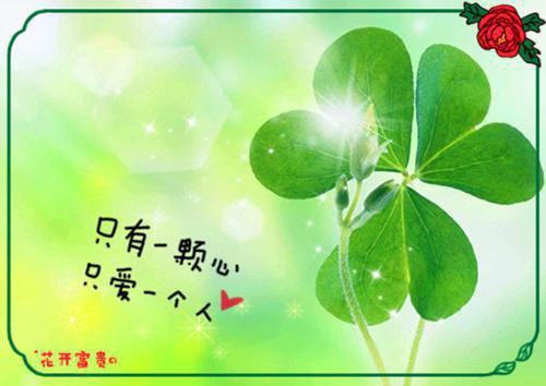 重生后真千金开始做绿茶云舒礼宋怀瑾云舒礼云舒颜小说(完整)免费阅读