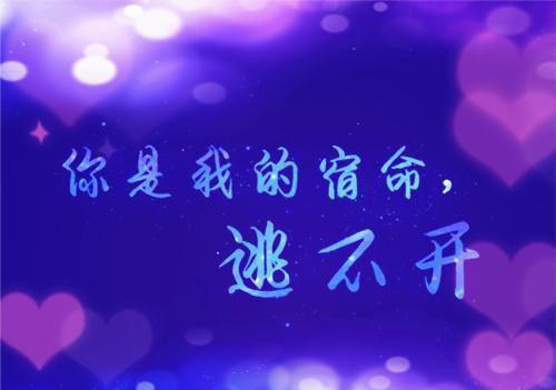 裴慎晚贺雾沉最新章节_裴慎晚贺雾沉全文免费阅读