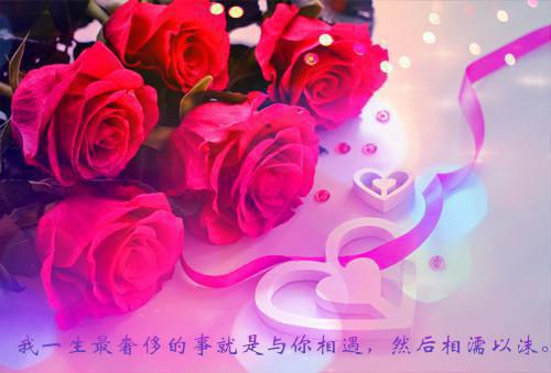 2023网络管理员应聘简历范文