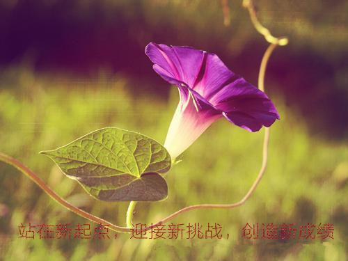 关于高考的励志散文：消逝的生命