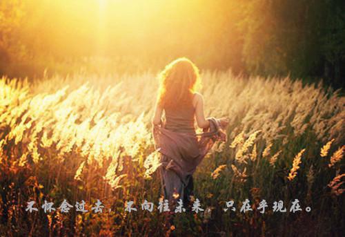 宋白姣傅臻「精彩小说」宋白姣傅臻全集阅读