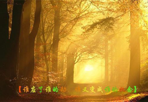 万玲丁豪最新章节_万玲丁豪全文免费阅读