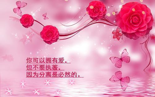 记一次成功的实验作文5篇