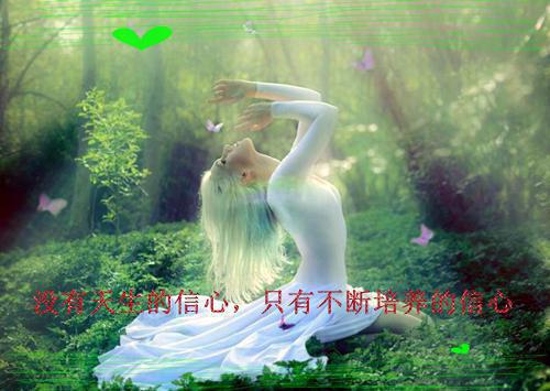 我读心治愈动物，直播爆红全网（沈时染鱼饼）最新章节_我读心治愈动物，直播爆红全网全文阅读