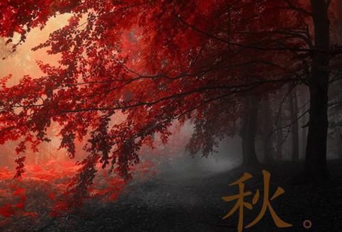 容焱夏璃鸽小说小说夏璃鸽容焱热门小说完整版阅读