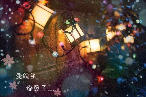 沈柔江婳全文免费阅读（蓝金奶香小说）全文在线沈柔江婳读无弹窗大结局_（蓝金奶香小说沈柔江婳）蓝金奶香小说最新章节列表（沈柔江婳）