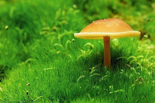 不可错过的国外经典爱情小说推荐