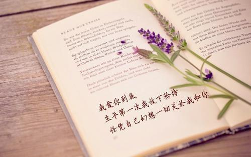 许听晚盛衍最新章节_许听晚盛衍全文免费阅读
