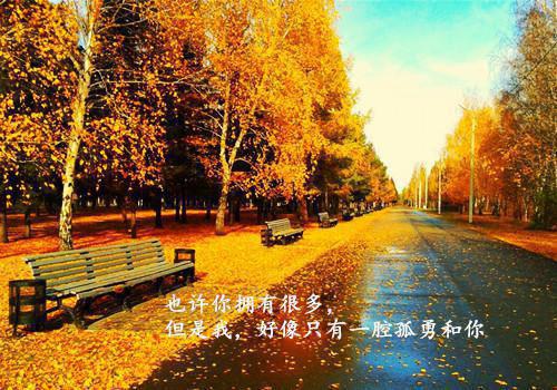 楚天夏紫星最新章节_楚天夏紫星全文免费阅读