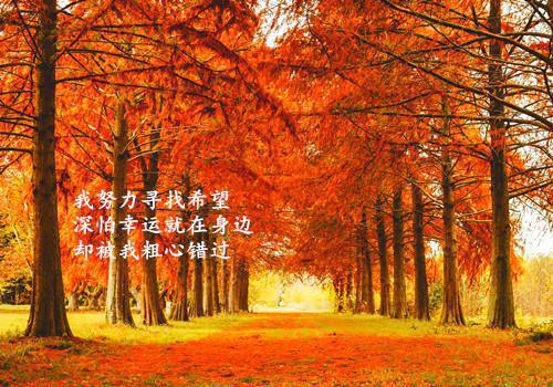 成长故事骑车子300篇4篇