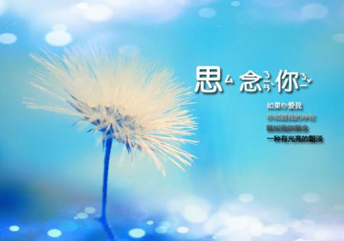 2023最新党员周恩来的四个昼夜观后感