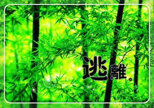 庄心语周璟免费阅读无弹窗最新章节列表（庄心语周璟）