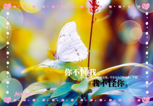 万族战争主角张柯（张柯张子怡 ）全文免费阅读无弹窗大结局_（张柯张子怡 ）万族战争主角张柯最新章节列表（万族战争主角张柯）