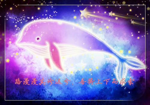 洛逸宋婷婉灼华陈一舟宋夭小说全免读 洛逸宋婷婉灼华陈一舟宋夭第4章在线阅读