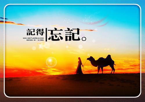 和前夫双穿成极品，他权倾朝野了林复白陈汐小说_和前夫双穿成极品，他权倾朝野了免费阅读
