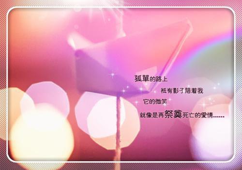 林婉酹江鹤隐 林婉酹江鹤隐小说免费阅读