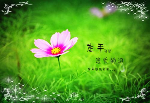 2023会计应届生简历范文