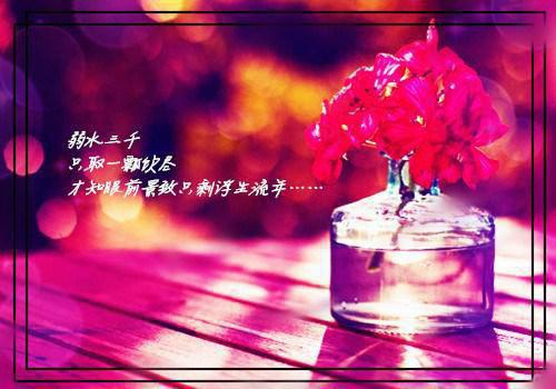 (番外)+(全文) 宋晚溪顾谨修：+后续+结局免费下载阅读_(宋晚溪顾谨修：+后续+结局)宋晚溪顾谨修免费最新章节列表（宋晚溪顾谨修：+后续+结局）
