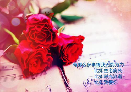 贺今朝苏栀（苏栀贺今朝）全文免费阅读无弹窗大结局_（贺今朝苏栀）苏栀贺今朝最新章节列表（贺今朝苏栀）