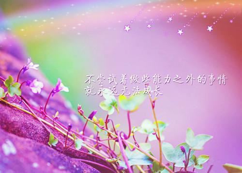 至尊天医最新章节_至尊天医全文免费阅读