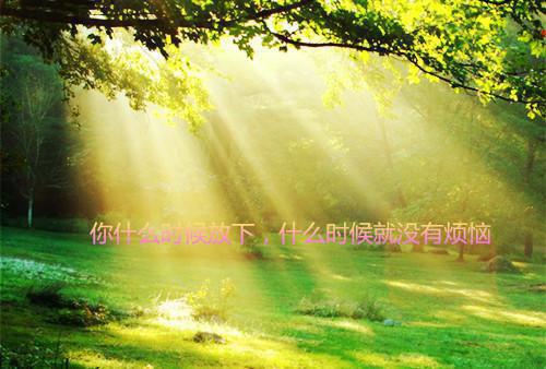 软件工程英文简历表格