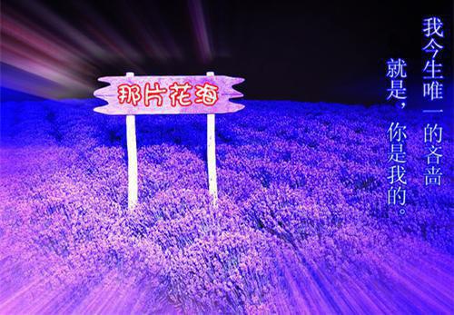 小说掌管家庭财政后，我倒欠婆家一百万主角为陈蕊李伟免费阅读