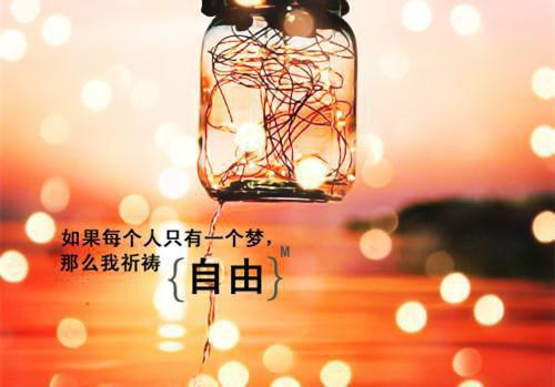 陆汌桑虞（桑虞陆汌）全文免费阅读无弹窗大结局_(陆汌桑虞)桑虞陆汌免费阅读无弹窗最新章节列表（桑虞陆汌）