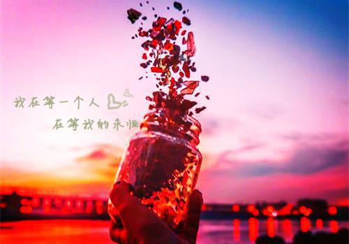 史上最强供应商系统最新章节_史上最强供应商系统全文免费阅读
