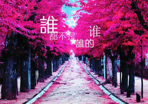 优美励志短篇文章