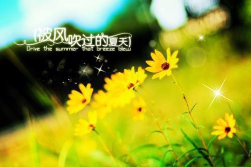 生而为罪，赎我半生最新章节_生而为罪，赎我半生全文免费阅读