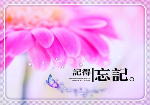 在线裴执江郁嘉许柚读无弹窗大结局_（裴执江郁嘉许柚孤岛海洋:云朵反感小说）裴执江郁嘉许柚最新章节列表（裴执江郁嘉许柚）
