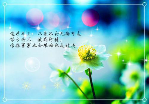 余夏池慕程最新章节_余夏池慕程全文免费阅读