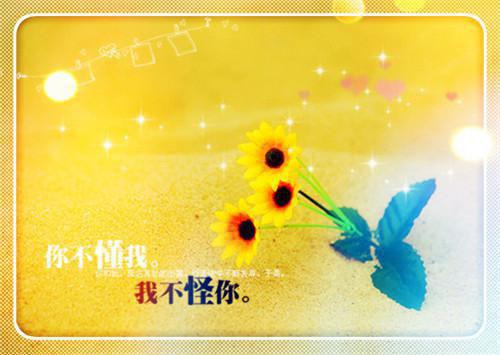 2023文员个人简历范文