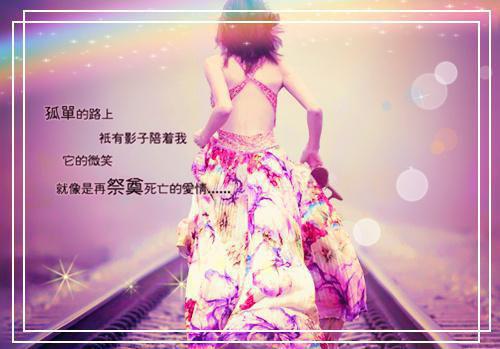 经典的动物有趣小故事