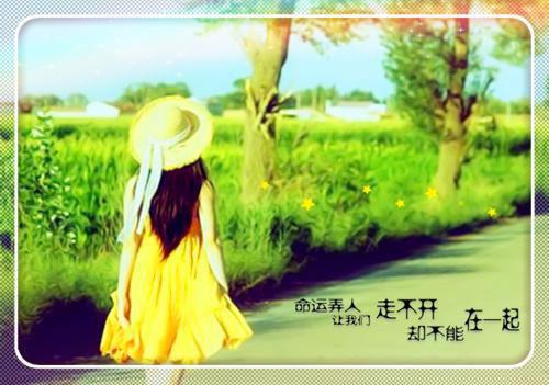若不爱请不要伤害最新章节_若不爱请不要伤害全文免费阅读