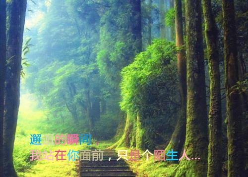 励志电影煎饼侠影评
