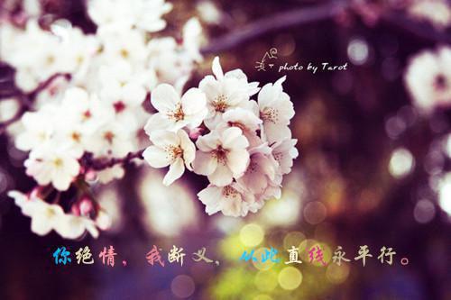 婆婆的恶毒心小说 婆婆的恶毒心晨月皎洁