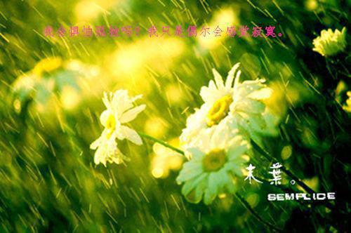 赫连钰唐小溪全文免费阅读(嘎嘎我娘小说)全文免费赫连钰唐小溪读无弹窗大结局_ 嘎嘎我娘小说赫连钰唐小溪全文免费赫连钰唐小溪读最新章节列表（嘎嘎我娘小说）