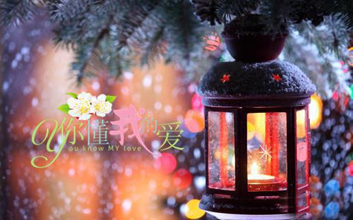 财务主管英文简历表格