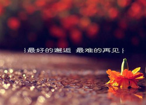 关于伊索寓言故事
