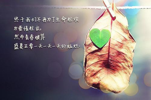 英文个人求职简历范文模板最新