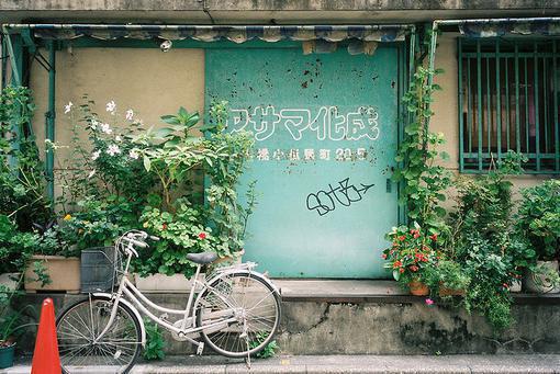 《楚烨朝方黎》完结版阅读《楚烨朝方黎》最新章节目录