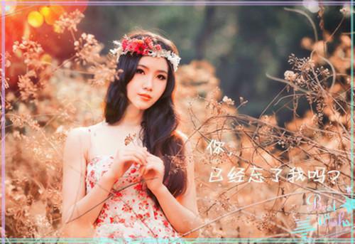 裴裴欢喜小说(季泽声周裴)章节阅读