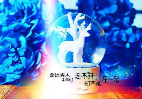 夏苡月祁绍小说全文免费阅读(夏苡月祁绍）全文免费阅读无弹窗大结局_夏苡月祁绍最新章节列表（夏苡月祁绍小说）