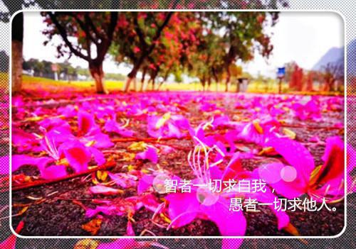 搞笑的励志电影三傻大闹宝莱坞