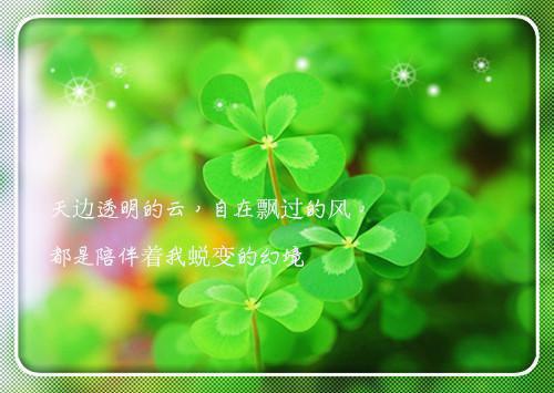 得知我彩礼88万，伥鬼同事造我黄谣最新章节_得知我彩礼88万，伥鬼同事造我黄谣全文免费阅读