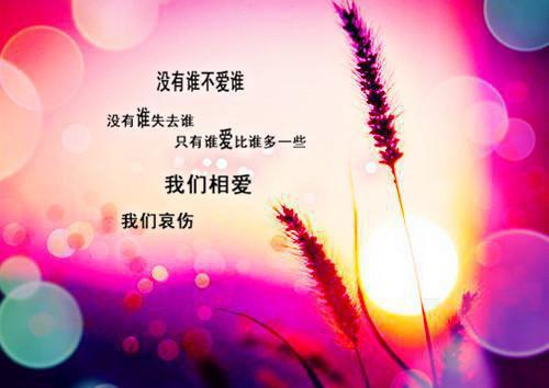 外贸客服专员个人简历范文