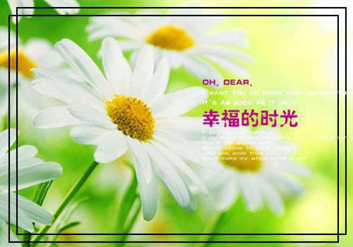 应用电子技术大专个人简历范文